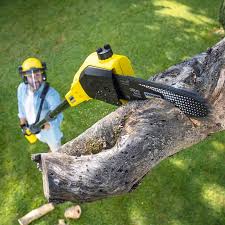 Artificial Turf Installation in La Fayette, AL